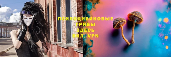 МДПВ Снежинск