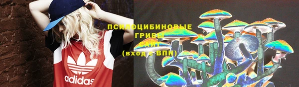 МДПВ Снежинск