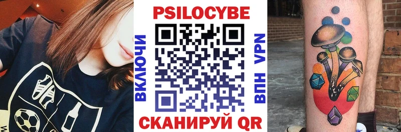 Купить  Красный Кут  Псилоцибиновые грибы Magic Shrooms 